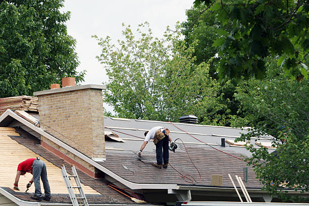 Best Chimney Flashing Repair  in Grant, MN